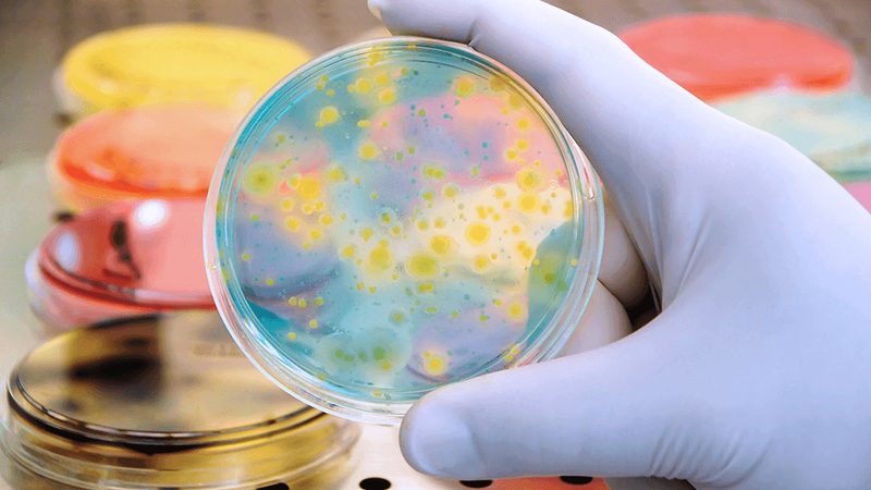 CRS在生物医药研发中的应用：案例解析与行业洞察**