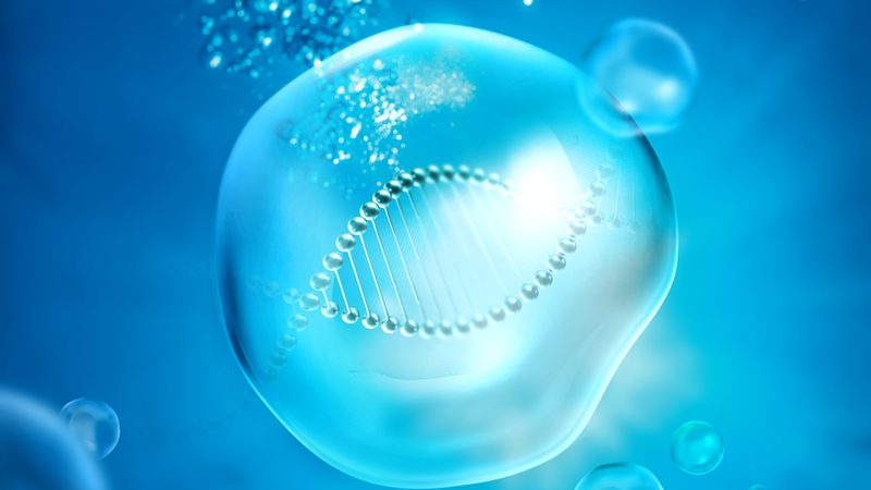 生物医药园区招商政策：助力产业腾飞的关键要素**