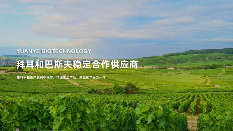 生物制品冷链运输：保障品质，揭秘批发报价**
