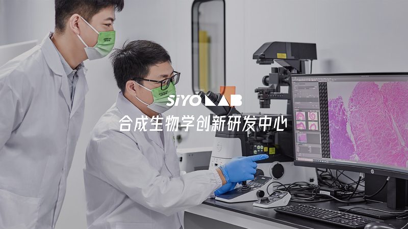 全自动生物分析仪：价格背后的价值考量