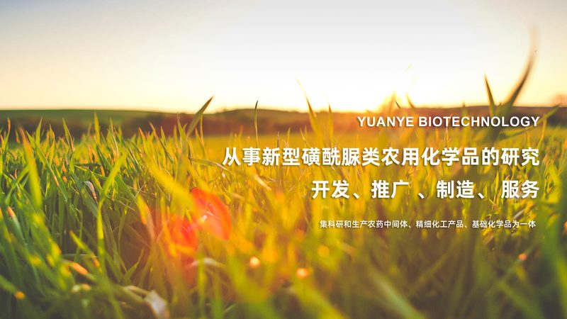 离心管：实验室里的“隐形英雄