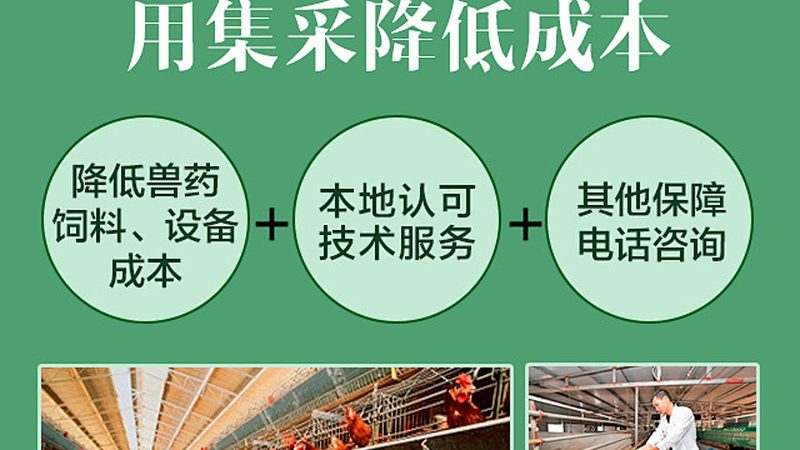中国CDMO龙头企业合作攻略：揭秘合作共赢之道