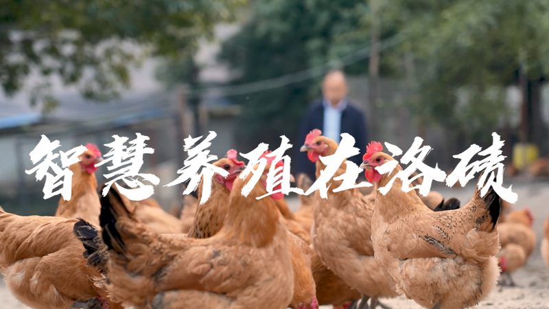 进口分子生物学试剂：如何选择合适的批发供应商**