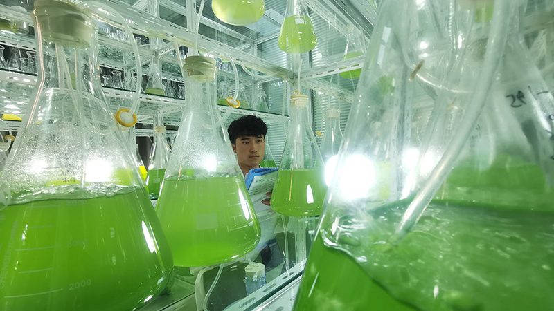 CRo数据分析流程工具：揭秘高效研发背后的秘密